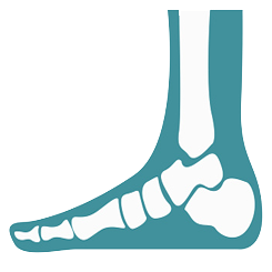 AnteAnkle Arthroscopy Surgery Cost in India